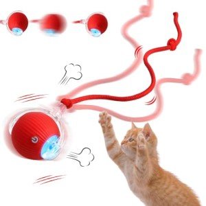 Interactive Cat Toy Ball,2025 Upgraded Cat Toys for Indoor Cats,Automatic Cat Toy,Speedy Tail Cat Toy,Consume Companion for Kitten Toy,Adult Cat Toy for Fun Time