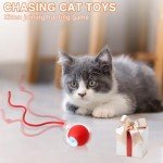 Interactive Cat Toy Ball,2025 Upgraded Cat Toys for Indoor Cats,Automatic Cat Toy,Speedy Tail Cat Toy,Consume Companion for Kitten Toy,Adult Cat Toy for Fun Time