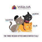 Weruva Cats in The Kitchen, Goldie Lox with Chicken & Salmon Au Jus Cat Food, 3.2oz Can (Pack of 24)