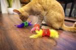 Vibrant Life Feather Rattle Cat Toy, Assorted Colors