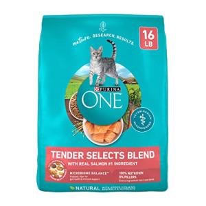Purina One SmartBlend Dry Cat Food - Salmon & Tuna