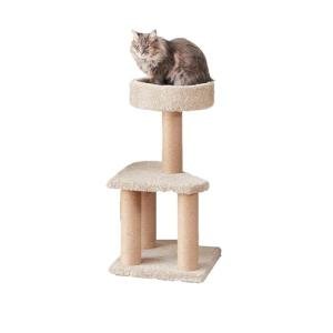 Amazon Basics Cat Tree Indoor Climbing Activity Tower with Scratching Posts, Medium, 15.7 x 31.5 Inches, Beige