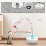 Interactive Rechargeable Cat Tumbler and Feather Wand