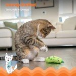 Crunchy Pickle Kicker Catnip Dental Toy