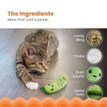 Crunchy Pickle Kicker Catnip Dental Toy