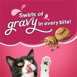 Friskies Gravy Swirlers Dry Cat Food - 3.15 lb