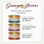 Fancy Feast Gravy Lovers Gourmet Cat Food 24-Pack
