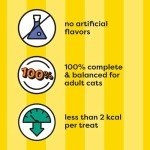 Temptations Mix Cat Treats Variety Pack