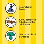 Temptations Mixups Crunchy and Soft Cat Treats 473g