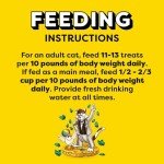 Temptations Mixups Crunchy and Soft Cat Treats 473g