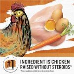 Purina Beyond Grain Free Dry Cat Food - Chicken & Egg