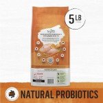 Purina Beyond Grain Free Dry Cat Food - Chicken & Egg