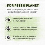 Purina Beyond Grain Free Dry Cat Food - Chicken & Egg