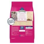 Blue Buffalo Wilderness Grain-Free Salmon Cat Food