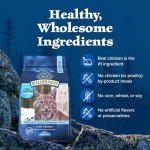 Blue Buffalo Wilderness High Protein Dry Cat Food