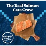 Blue Buffalo Wilderness Grain-Free Salmon Cat Food