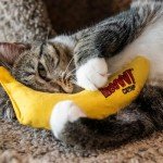 Yeowww Chicata Banana Cat Toy with Catnip
