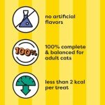 Temptations Tuna Flavor Cat Treats - 16 oz