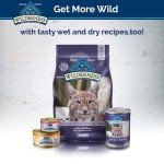 Blue Buffalo Wilderness Grain-Free Cat Treats – Chicken & Salmon