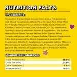 Temptations Savory Salmon Cat Treats - 16 oz