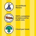 Temptations Jumbo Tuna Flavor Cat Treats, 14 oz