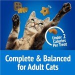 Purina Party Mix Beachside Crunch Cat Treats
