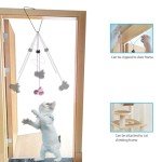Interactive Indoor Cat Toy Set with Feathers