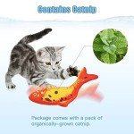 Floppy Fish Cat Toys with Catnip - 2 Pack