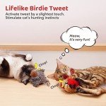 Chirping Birds Cat Toys with Catnip – 2 Pack