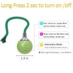 Interactive Cat Ball Toy - Green Indoor Fun