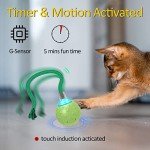 Interactive Cat Ball Toy - Green Indoor Fun
