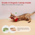 Chirping Birds Cat Toys with Catnip – 2 Pack