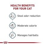 Royal Canin Indoor Adult Dry Cat Food, 7 lbs