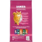 IAMS Proactive Health Dry Cat Food, 7 lb