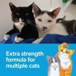 Fresh Step Multi-Cat Extra Strength Clumping Litter