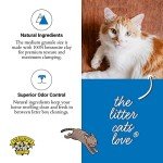 Dr. Elsey's Premium Unscented Multi-Cat Litter 40lbs