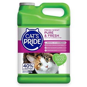 Premium Lightweight Multi-Cat Clumping Cat Litter