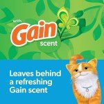 Fresh Step Febreze Scented Clumping Cat Litter 14 lb