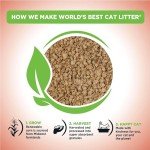 WORLD'S BEST CAT LITTER Multiple Cat Unscented, 15-Pounds - Natural Ingredients, Quick Clumping, Flushable, 99% Dust Free & Made in USA - Long-Lasting Odor Control & Easy Scooping