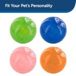 PetSafe Slimcat Slow Feeder Ball for Cats - Interactive Puzzle Game for Your Cat - Fill with Food and Treats - Great for Indoor Play for Kittens and Adult Cats, Portion Control and Fast Eaters (Blue)