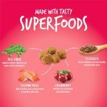 Fruitables Cat Treats – Crunchy Treats For Cats – Healthy Low Calorie Treats Packed with Protein – Free of Wheat, Corn and Soy – Made with Real Salmon with Cranberry – 2.5 Ounces