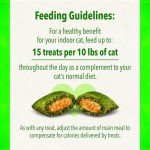 FELINE GREENIES SMARTBITES Skin & Fur Crunchy and Soft Natural Cat Treats, Chicken Flavor, 2.1 oz. Pack