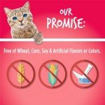 Fruitables Cat Treats – Crunchy Treats For Cats – Healthy Low Calorie Treats Packed with Protein – Free of Wheat, Corn and Soy – Made with Real Salmon with Cranberry – 2.5 Ounces