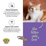 Dr. Elsey's Cat Litter - Premium Unscented Cat Litter w/ Natural Ingredients - Low Dust & Low Tracking Multi Cat Litter - Superior Odor Control Cat Litter - Hard Clumping Clay Cat litter (40lbs)