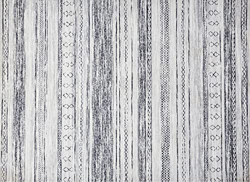 Soft Neutral 5x7 Bohemian Area Rug for Home