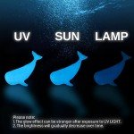 Glow in The Dark Blue PETG 3D Filament 1.75mm