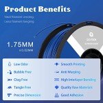 R QIDI Technology 1.75mm ABS Filament - Blue