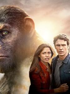 3D Printer Supplies for Creative Projects