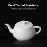 NextShapes 10KG 355nm 3D Printing Resin Precision X White, High Precision, Excellent Strength & Hardness, Good Temperature Resistance UV-Curing Resin for SLA Stereolithography Printer (White, 10KG)