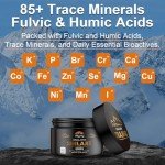 Himalayan Organic Shilajit Resin - 800mg